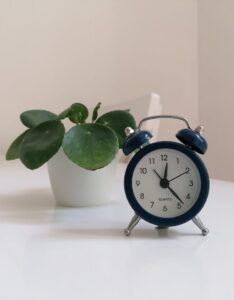 Black alarm clock next to a green plant in a white pot